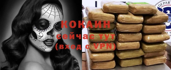 дмт Горно-Алтайск