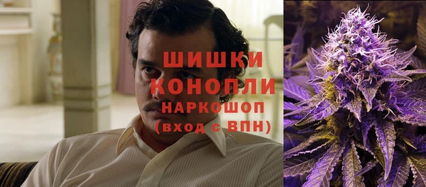индика Сосновый Бор
