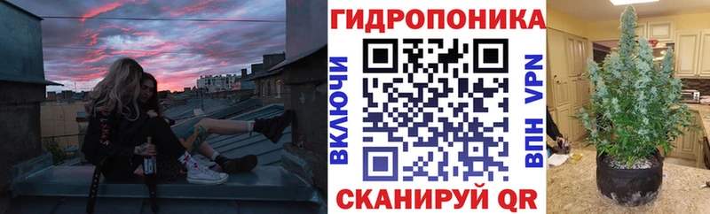Канабис LSD WEED  МЕГА   Севск  закладка 